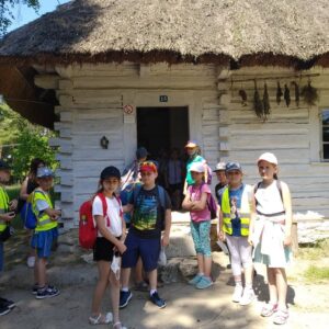 201804591_330235878591265_8730068917400896815_n