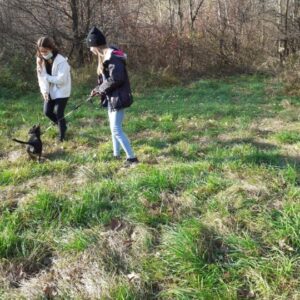 IMG-6134