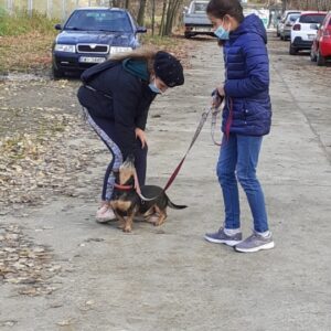 IMG-6135