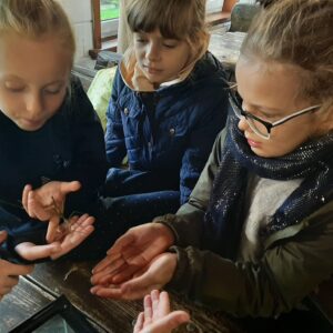 309206990_406043598380086_2606969658932756830_n