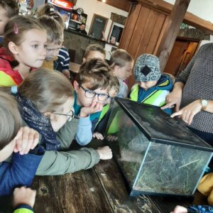 309376174_821803489131595_2020175046292955309_n