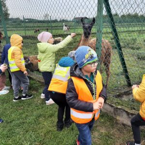 309752883_636410697871321_8205597868758090178_n