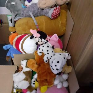 317232900_152440284198378_3278767342375279869_n