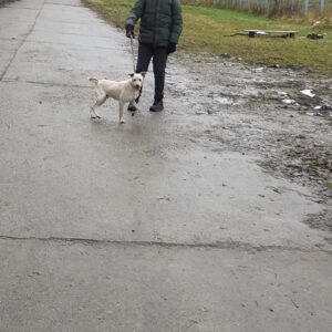 317584271_151152160993857_5202404128086699602_n