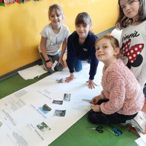 312648236_145121221596951_2081890028568988321_n