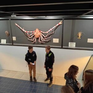 419031699_364648776310860_9191114800813619983_n