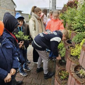 439337548_424654556976948_7049071218348980996_n