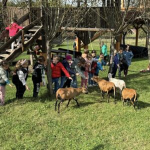 461709118_528335969942139_1959400275494840357_n