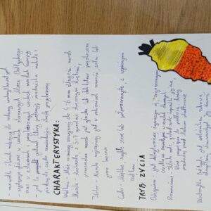 256fd057-ba12-4901-8447-4a3ac2f160f3