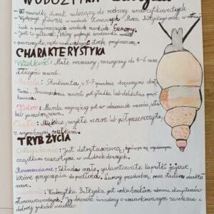 5942e080-b7ca-46e7-9338-0c348a3e0654