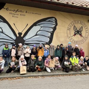 569131411_822950600480673_6477737387767880540_n